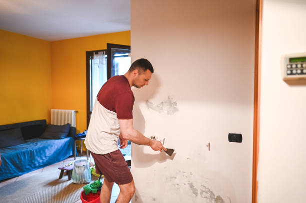 Best Residential Mold Remediation in Munsey Park, NY